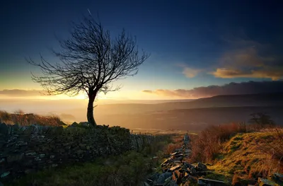 Sleek Lone Wallpaper Nature Wallpaper 4K 2048x1345 A, Lone, Tree, Stands, By, Man-made, Stone, Wall, Sunset, Vibrant, Sunshine, Meteor, Orange, Brown, Ultrawide, Full HD