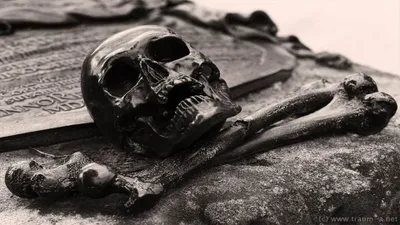 Bold Dark Wallpaper Black/Dark Wallpaper 4K 3840x2160 Dark-themed, 4k, Ultra, Hd, Pc, Desktop, Wallpaper, Featuring, Detailed, Skull, Bones, Textured, White, Ultrawide