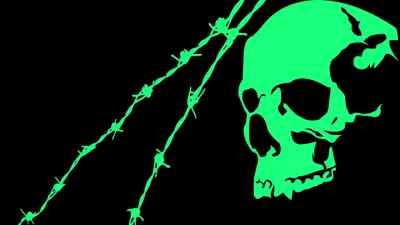 Serene Minimalist Wallpaper Black/Dark Wallpaper 4K 2560x1440 Minimalist, Hd, Desktop, Wallpaper, Featuring, A, Bright, Green, Skull, Barbed, Wire, Against, Black, Teal, Ultrawide, QHD