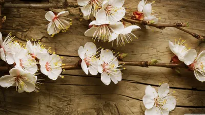 Anime Wallpaper 3838x2158 Abstract Wallpaper 4K 3838x2158 Ultrawide, QHD