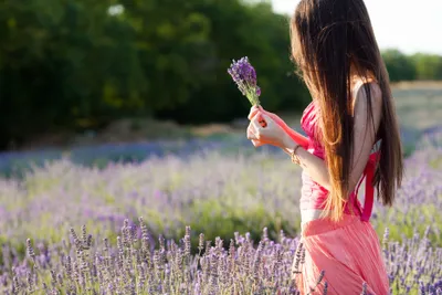 Woman Pink Dress Abstract Wallpaper 4K 3831x2554 A, Woman, In, Pink, Dress, Holds, Bouquet, Lavender, While, Standing, Field, High-definition, Gray, Landscape, QHD