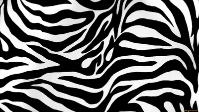 Abstract Black White Abstract Wallpaper 4K 1920x1080 Abstract, Black, And, White, Zebra, Stripe, Pattern, Creating, Bold, High-contrast, Desktop, Artistic, Ultrawide, Full HD