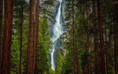Crisp Waterfall Wallpaper Wallpaper 4K, Nature category