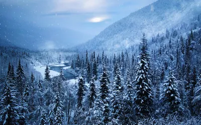 Serene Winter Landscape Nature Wallpaper 4K 1918x1198 Snow-covered, Ultrawide
