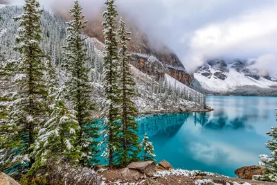 Bright Winter Wallpaper Wallpaper 4K, Nature category