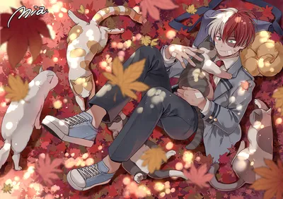 Crisp Shoto Wallpaper Abstract Wallpaper 4K 1920x1354 Hd, Desktop, Wallpaper, Featuring, Shoto, Todoroki, From, My, Hero, Academia, Surrounded, Cats, Orange, White, Pink, Landscape, Full HD