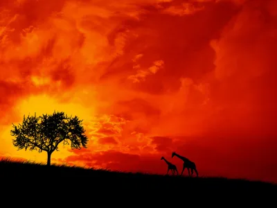 Anime Wallpaper 1598x1198 Abstract Wallpaper 4K 1598x1198 Landscape