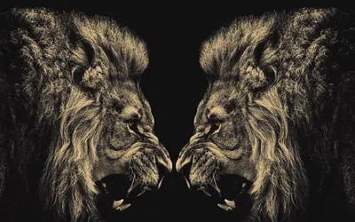 Two Majestic Lions Facing Animals Wallpaper 4K 1918x1198 Ultrawide