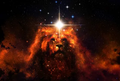 Depicting Majestic Lion Formed Space Wallpaper 4K 3423x2323 Landscape, QHD, Lion
