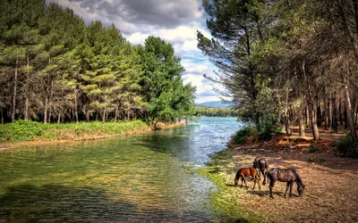 Vivid Serene Wallpaper Nature Wallpaper 4K 1920x1200 Hd, Desktop, Wallpaper, Featuring, A, Serene, Riverside, Scene, Two, Horses, Grazing, Near, Gray, White, Ultrawide, Full HD