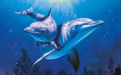Bright Two Wallpaper Abstract Wallpaper 4K 1680x1050 Hd, Desktop, Wallpaper, Featuring, Two, Dolphins, Swimming, Together, Serene, Underwater, Scene, Vibrant, Yellow, Pink, Ultrawide