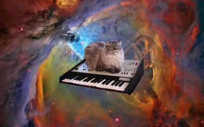 Fluffy Cat Sits Abstract Wallpaper 4K 1680x1050 A, Fluffy, Cat, Sits, On, Piano, Keyboard, Floating, Against, Vibrant, Colorful, Cosmic, Brown, Orange, Ultrawide