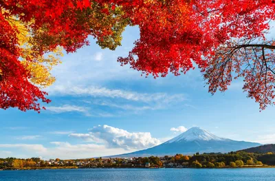 Vibrant Fall Foliage Frames Mount Nature Wallpaper 4K 2878x1890 Ultrawide, QHD