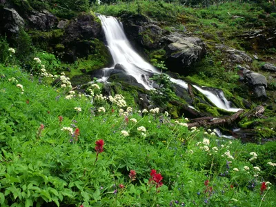 Serene Waterfall Cascading Wallpaper 4K, Nature category