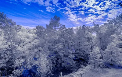 General Wallpaper 3998x2521 Nature Wallpaper 4K 3998x2521 Snow-covered, Ultrawide, 4k