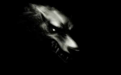 Dark Themed Fierce Black/Dark Wallpaper 4K 2558x1598 Dark-themed, Full HD, Ultrawide
