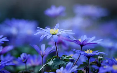 General Wallpaper 2878x1798 Nature Wallpaper 4K 2878x1798 Ultrawide, QHD