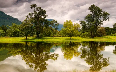 General Wallpaper 2558x1598 Nature Wallpaper 4K 2558x1598 Full HD, Ultrawide