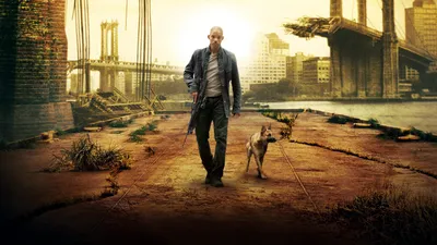 Bright Lone Wallpaper Animals Wallpaper 4K 1920x1080 A, Striking, Hd, Desktop, Wallpaper, Featuring, Lone, Man, Walking, *dog, Desolate, Urban, White, Ultrawide, Full HD