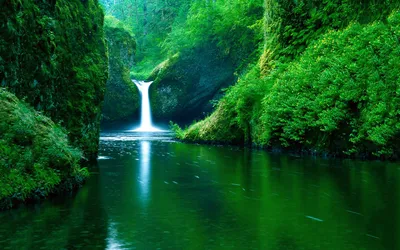 Serene Waterfall Surrounded Lush Greenery Nature Wallpaper 4K 1918x1198 Dark-green, Teal, Ultrawide