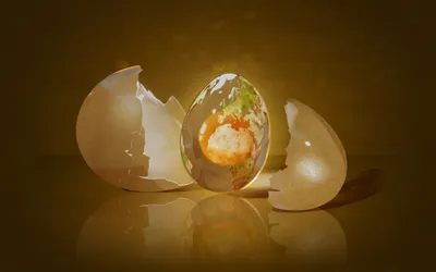 Artistic Depiction Broken Eggshell Wallpaper 4K, Nature category