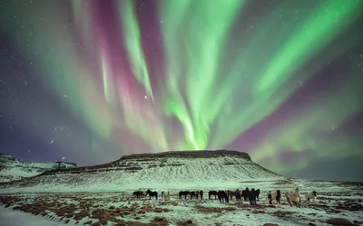 Calm Aurora Wallpaper Wallpaper 4K, Nature category