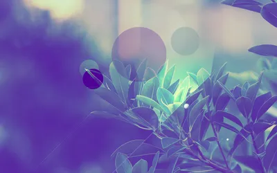 Anime Wallpaper 1918x1198 Abstract Wallpaper 4K 1918x1198 Cool-toned, Soft-focus, Ultrawide