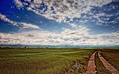 Bright Vast Wallpaper Nature Wallpaper 4K 1920x1200 Hd, Pc, Desktop, Wallpaper, Featuring, A, Vast, Green, Field, Under, Partly, Cloudy, White, Gray, Ultrawide, Full HD