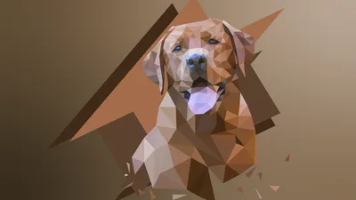 Abstract Geometric Faceted Design Abstract Wallpaper 4K 8000x4500 Abstract, Hd, Desktop, Wallpaper, Featuring, A, Geometric, Faceted, Design, *dog, Against, Gradient, Brown, Gray, Ultrawide, 4k