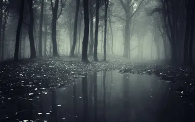General Wallpaper 1918x1198 Nature Wallpaper 4K 1918x1198 Mist-covered, Ultrawide
