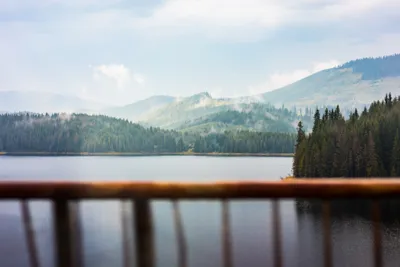 Scenic Lake Foggy Forest Seen Nature Wallpaper 4K 3998x2665 View, Seen, Ultrawide, 4k