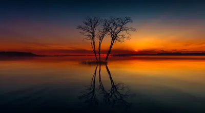 Sleek Serene Wallpaper Nature Wallpaper 4K 5775x3207 A, Stunning, Hd, Wallpaper, Of, Serene, Lake, Sunset, Showcasing, Tree, Silhouetted, Against, Orange, Ultrawide, 4k