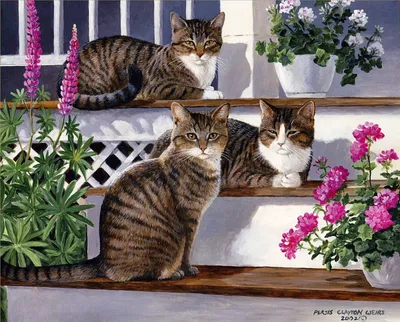 Three Cats Sitting Animals Wallpaper 4K 1440x1160 Three, Cats, Sitting, Flower, Benches, By, Persis, Clayton, Weirs, Gray, Square