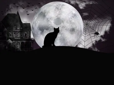 Halloween Dark House Black/Dark Wallpaper 4K 4000x3000 4k, Ultra, Hd, Halloween, Wallpaper, Featuring, A, Dark, House, Spider, Web, Full, Gray, White, Landscape