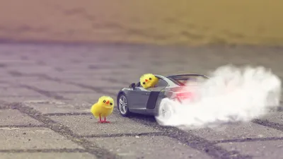 Playful Cute Yellow Chicks Cars Wallpaper 4K 1920x1080 A, Playful, Scene, Featuring, Cute, Yellow, Chicks, In, Fun, Car, Leaving, Trail, Gray, Ultrawide, Full HD