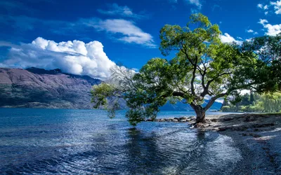 Serene Landscape Lake Nature Wallpaper 4K 1920x1200 A, Serene, Landscape, Featuring, Lake, Wakatipu, Surrounded, By, Majestic, Mountains, Lush, Trees, Red, Brown, Ultrawide, Full HD