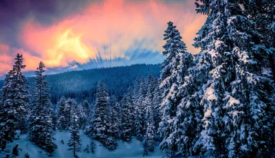 Epic Winter Wallpaper Nature Wallpaper 4K 4320x2489 Hd, Desktop, Wallpaper, Of, A, Winter, Forest, At, Sunset, Featuring, Vibrant, Sky, Gray, Ultrawide, 4k