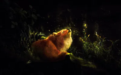 Dreamy Fantasy Wallpaper Fantasy Wallpaper 4K 3888x2406 A, Fantasy-themed, Hd, Desktop, Wallpaper, Featuring, Fox, Basking, Magical, Glowing, Light, Lush, Black, Ultrawide, 4k