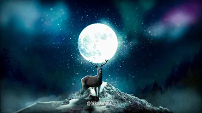 Black Manipulation Moon Animals Wallpaper 4K 1918x1079 Photo Manipulation, Moon, Digital-art, Ultrawide