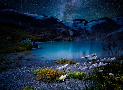 Sleek Serene Wallpaper Nature Wallpaper 4K 2048x1500 A, Serene, Hd, Wallpaper, Of, Lake, At, Night, Featuring, White, Flower, Foreground, Brown, Landscape, Full HD
