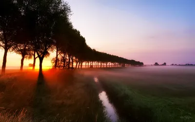 Nature Sunset Nature Nature Wallpaper 4K 1920x1200 Nature, Sunset, Hd, Desktop, Wallpaper, Background, Image, White, Ultrawide, Full HD