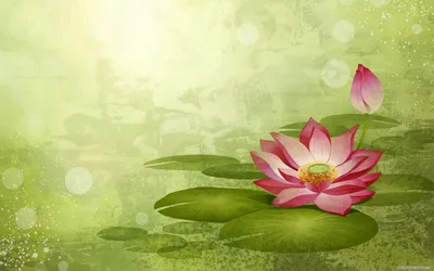 Moody Abstract Wallpaper Nature Wallpaper 4K 1920x1200 Abstract, Artistic, Hd, Pc, Desktop, Wallpaper, Featuring, A, Pink, Lotus, Flower, Green, White, Ultrawide, Full HD