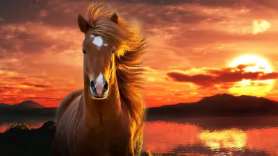 Bright Majestic Wallpaper Nature Wallpaper 4K 1920x1080 Hd, Desktop, Wallpaper, Of, A, Majestic, Horse, With, Flowing, Mane, Against, Vibrant, Brown, Orange, Ultrawide, Full HD