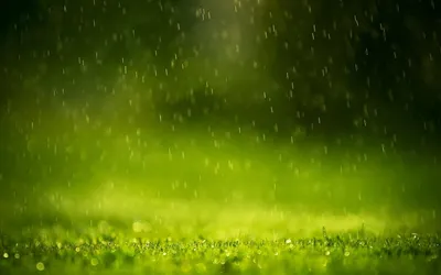 Definition Serene Rain Nature Wallpaper 4K 1920x1200 A, High-definition, Desktop, Wallpaper, Featuring, Serene, Scene, Rain, Falling, Gently, Over, Vibrant, Brown, Red, Ultrawide, Full HD