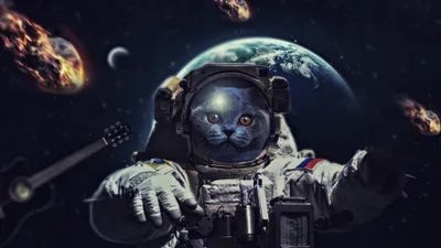 Sci Cat Astronaut Floating Animals Wallpaper 4K 3840x2160 4k, Ultra, Hd, Pc, Desktop, Wallpaper, Sci-fi, Scene, Cat, Astronaut, Floating, Space, Gray, Ultrawide