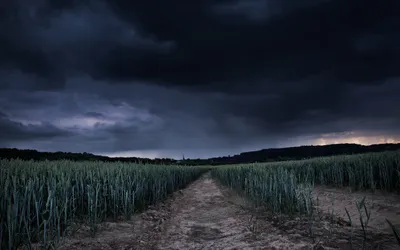 Dark Gather Vast Nature Field Nature Wallpaper 4K 2560x1600 Dark, Clouds, Gather, Over, A, Vast, Nature, Field, Creating, Moody, Atmosphere, Desktop, Brown, Gray, Ultrawide, QHD
