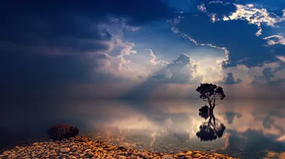 Solitary Tree Reflected Calm Ocean Nature Wallpaper 4K 4880x2735 Hd, Desktop, Wallpaper, Featuring, A, Solitary, Tree, Reflected, Calm, Ocean, Twilight, Sunbeams, Gray, Brown, Ultrawide, 4k