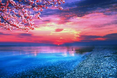 Sleek Serene Wallpaper Nature Wallpaper 4K 1920x1290 Hd, Desktop, Wallpaper, Of, A, Serene, Beach, At, Sunset, Vivid, Pink, Purple, Gray, White, Landscape, Full HD