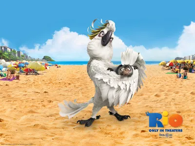 Animated Birds Movie Rio Vibrant Animals Wallpaper 4K 1600x1200 Hd, Desktop, Wallpaper, Featuring, Animated, Birds, From, The, Movie, Rio, Vibrant, Beach, Pink, Yellow, Orange, Landscape