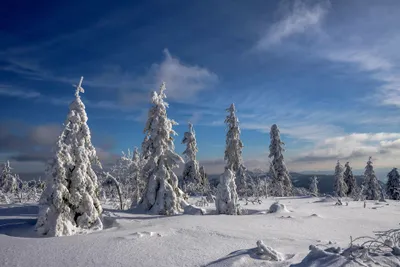 Winter Nature Snow Covered Nature Wallpaper 4K 3840x2563 4k, Ultra, Hd, Pc, Desktop, Wallpaper, Winter, Nature, Scene, Snow-covered, Trees, Gray, Landscape